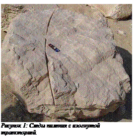 �������:  ������� 8: ����� ������� � ��������� �����������.